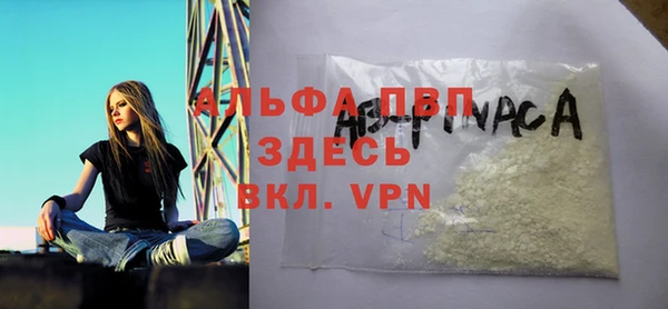 индика Сясьстрой