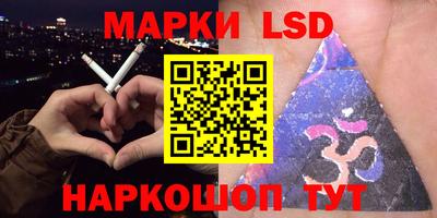 прущие грибы Краснодар