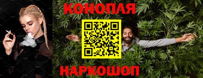 прущие грибы Краснодар