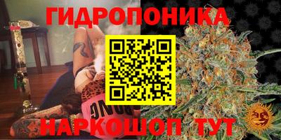 PSILOCYBIN Краснокаменск