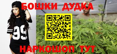 прущие грибы Краснодар