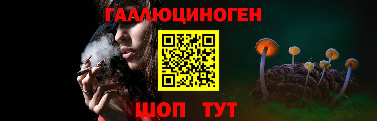 Псилоцибиновые грибы MAGIC MUSHROOMS  Вход с VPN  Псилоцибиновые грибы мухоморы  где купить   Чайковский 