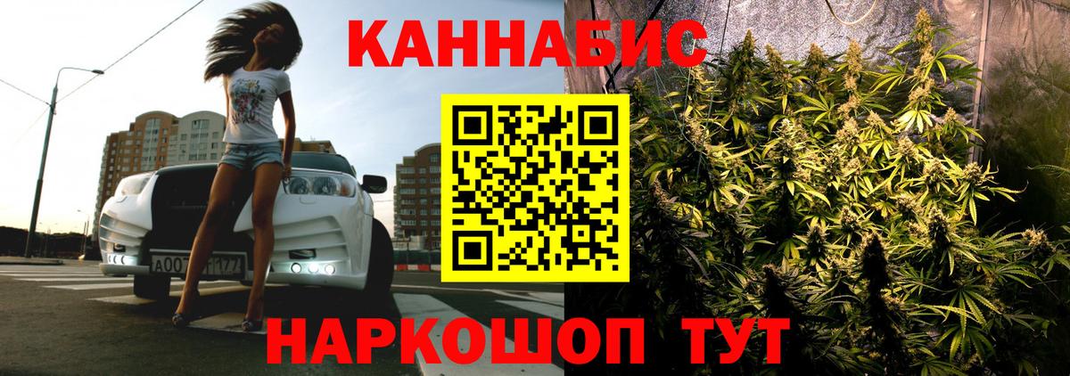 Бошки Шишки индика  Чайковский  Канабис планчик  Бошки марихуана Amnesia 