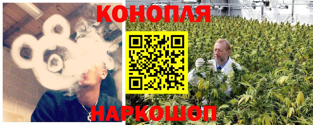 Бошки Шишки тримм Чайковский